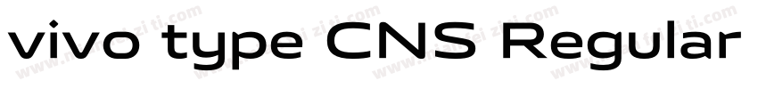 vivo type CNS Regular  GB1 0 GBpc E字体转换